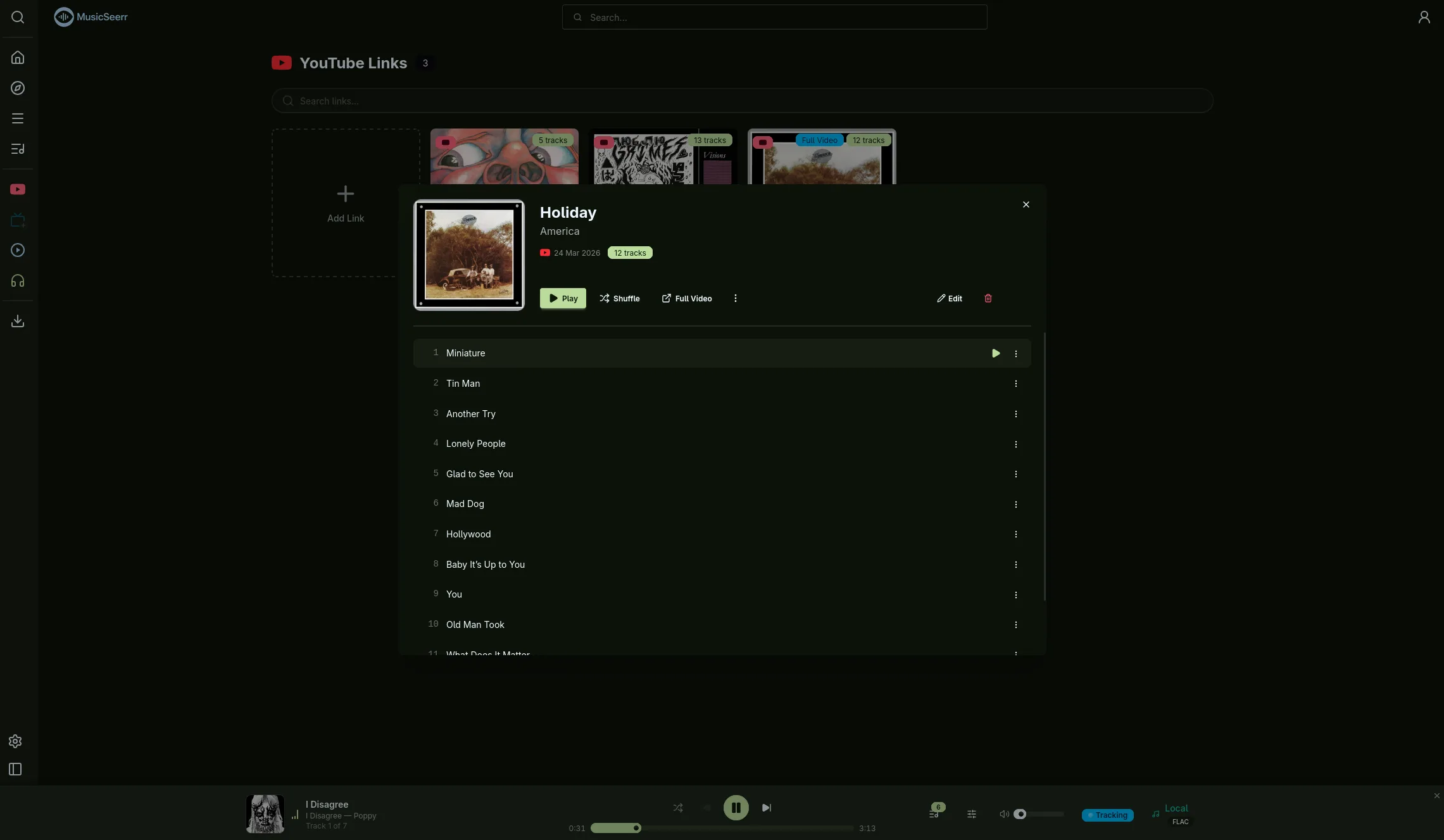 MusicSeerr YouTube playback view